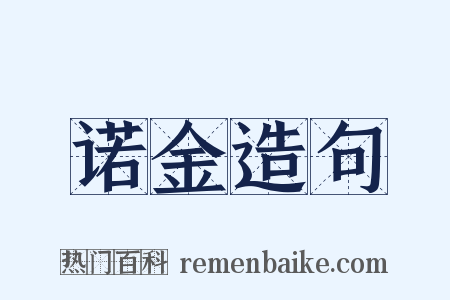 诺金造句是什么意思的图片